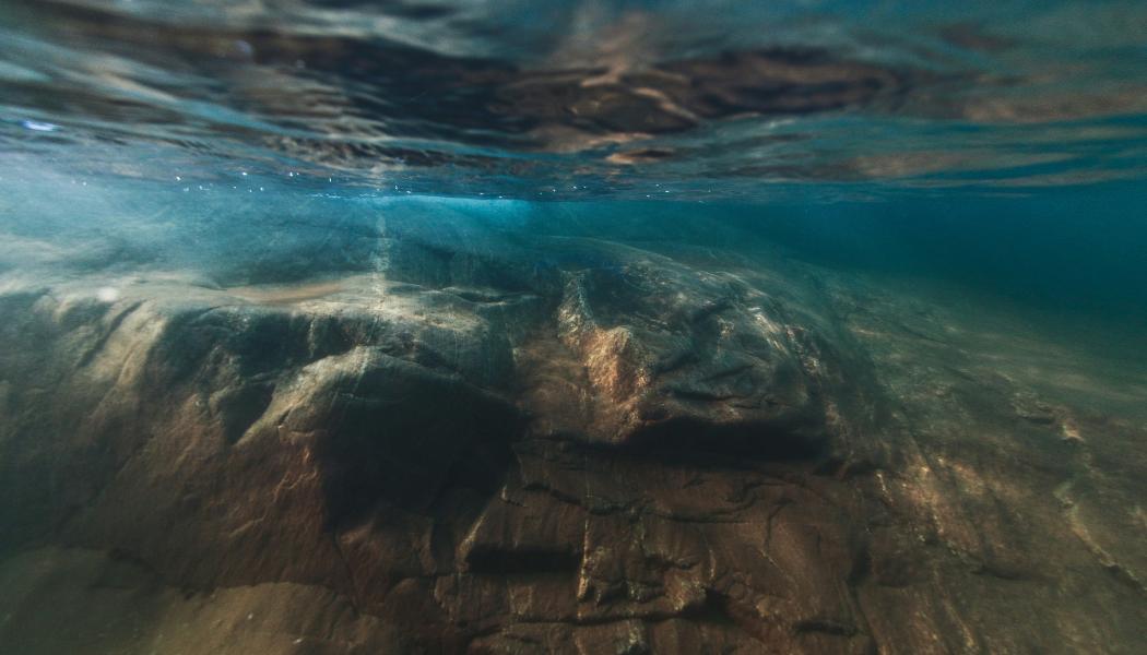 Under ytan i Bjuröklubb, i Västerbotten Foto: Niklas Jonasson/Unsplash