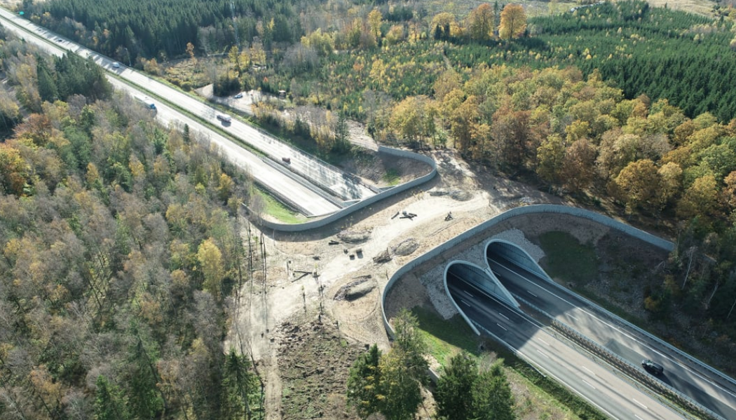 Trafikverket står för totalentreprenaden av ekodukten. Foto: Trafikverket