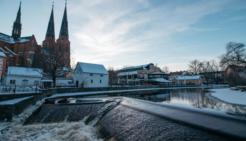 NYAB och Azvi utses att leda bygget av Uppsala Spårväg. Foto: Niclas Lundin/Unsplash