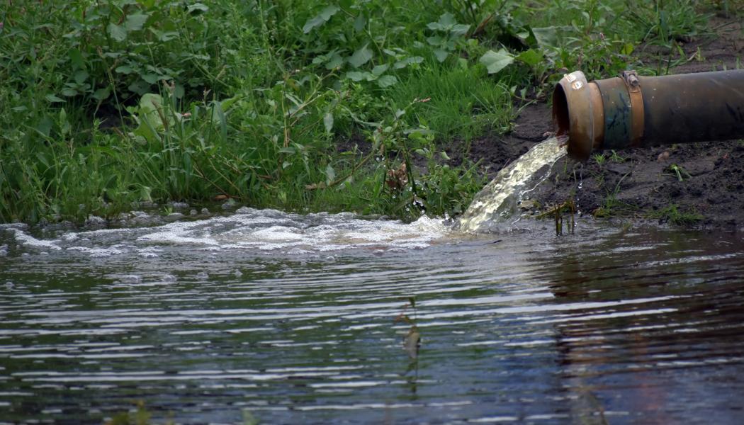 Forskningssatsningen omfattar bland annat spillvatten, dagvatten och frågor kopplade till framtida vattenhantering och miljökrav. Foto: Ries Bosch/Unsplash