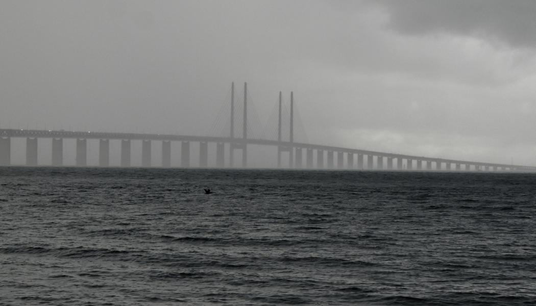 Öresundsbron sett från Malmö. Foto: Anastasiya D/Unsplash