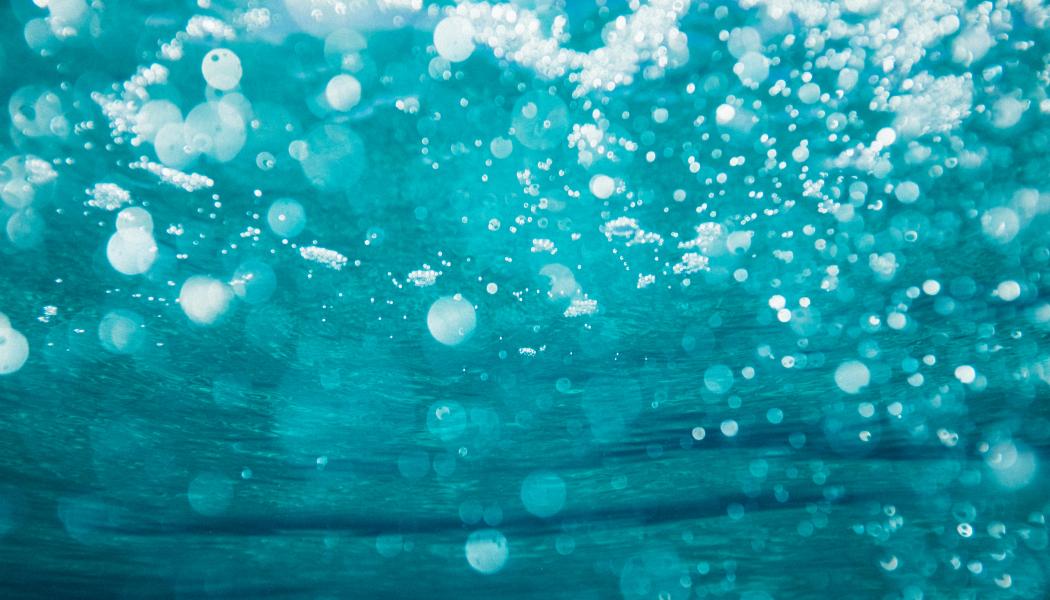 Förutom finansiella priser kommer vinnarna att delta i evenemang och projekt ledda av Världsekonomiska forumet och dess partners. Foto: Sime Basioli/Unsplash