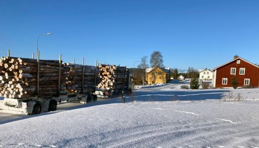 Timmerbil i Hällesjö i Jämtland Foto: Sweco