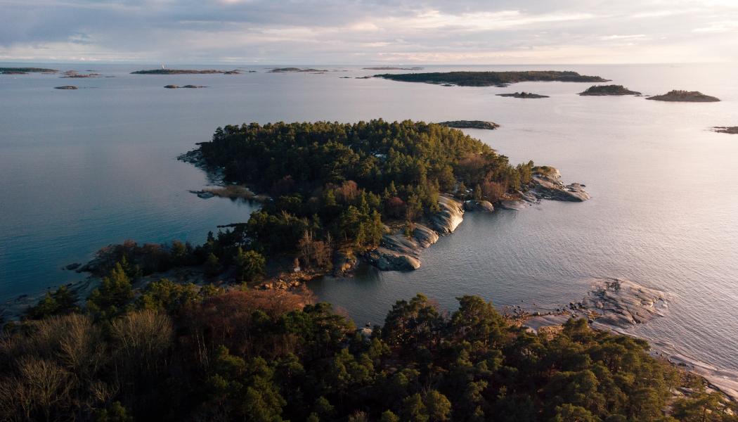 Foto: mika korhonen/unsplash