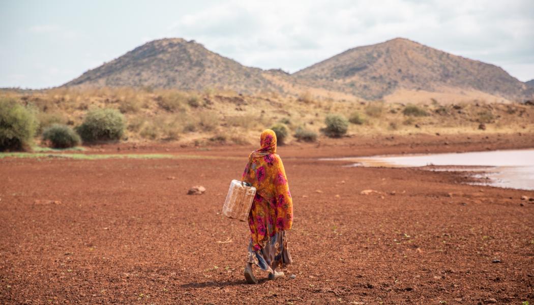 I de åtta studerade länderna är 91 procent av småskaliga bönder nästan helt beroende av regnvatten för att dricka och odla.  Foto: Andrew Mboya/Oxfam