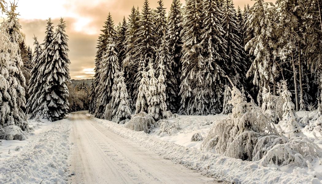 Foto: Pigoff PhotographY/Unsplash