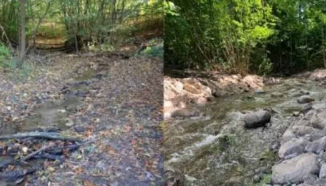 Före- och efterbild av nedre del av omlöpet, vy uppströms. Foto: Fiskevårdsteknik.
