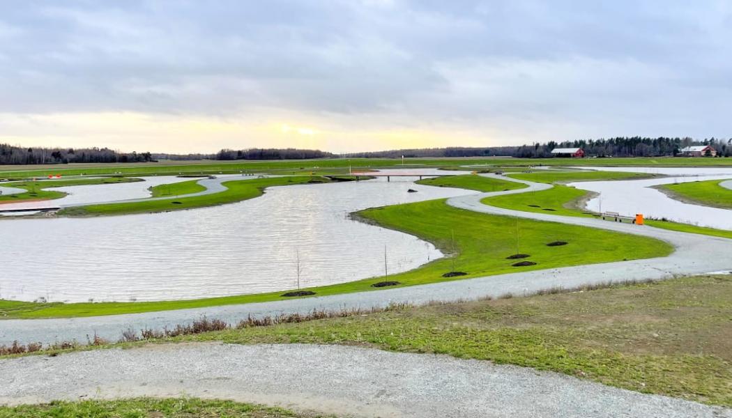 Våtmarksparken Johannisberg är på nära 15 hektar och har fler funktioner. Det främsta syftet är att rena dagvatten innan det når Mälaren. Foto: FVB