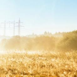 Energimarknadsinspektionens rambeslut för regleringsperioden, 2024–2027, ger E.ON Energidistribution möjligheter att investera 23 miljarder kronor i elnäten, vilket är bolagets största investeringsprogram till dags dato. Under de senaste 10 åren har E.ON Energidistribution investerat cirka 30 miljarder kronor i elnäten. Foto: Christian Andersson, Apelöga