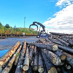 Nu rullar virkestransporterna igen längs den reparerade sträckan. Foto: Simen Slette Sunde, Bane NOR.