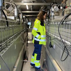 Malin Tuvesson på pilotanläggningen i Sundsvall. Foto: Camilla Borgström, MSVA