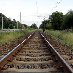 Bohusbanans spår i Skogome i Göteborg, i höjd med Lillhagsparken. Foto: Wikimedia Commons