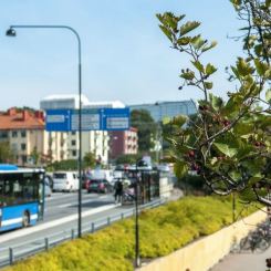 Arbetet med att utveckla transportsystemet Solna är redan påbörjat. Foto: Solna stad