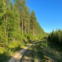 I dagsläget är endast beslut fattade om vegetationsröjning och utredningsarbete. Bilden tagen på annan sträcka. Foto: valeria v/unsplash