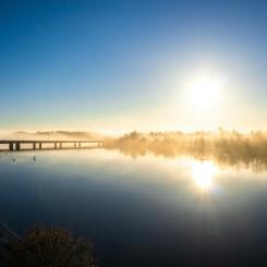 Umeå Foto: Axel Josefsson./Unsplash