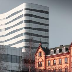Umeå. Foto; dominic bieri/unsplash