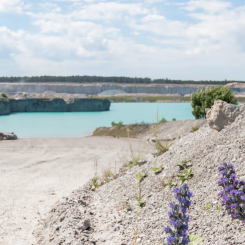 Ett kortare tillstånd är en nödvändig lösning för att upprätthålla cementförsörjningen i Sverige, menar Cementa. Foto: Cementa