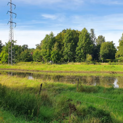 Dagvattendammar fångar upp och renar dagvattnet. Foto: Örebro kommun