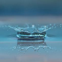 Gråvatten står för majoriteten av hushållets vattenförbrukning och innehåller både organiskt material, näringsämnen och mikroplaster. Foto: Rånäs bruk