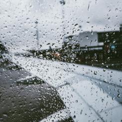 Foto: dzmitry  dudov/unsplash