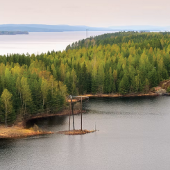 Telia att förvalta infrastrukturen till elnätsföretaget Ellevios nya datakommunikationsnät. Foto: Telia