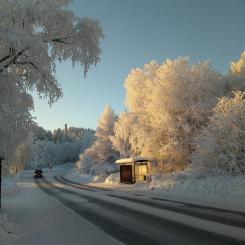 Busshålplats i Jämtland. Foto: Emmeli Sjölander/Unsplash