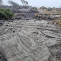 Saneringen bedöms bli omfattande, med cirka 350 lastbilssläp som behöver transporteras bort. Foto: Halmstads kommun