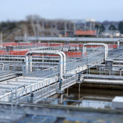 Bakteriesamhällena är konstant utsatta för virus. Foto: Chalmers