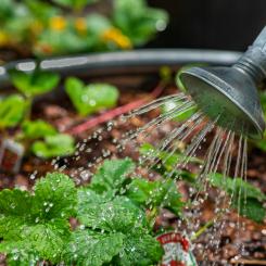 Gotland har länge arbetat med vattenfrågan, men behoven ökar. Klimatförändringar, förändrade vattenbehov och högre krav på beredskap kräver långsiktiga lösningar som berör flera sektorer och ansvarsområden. Foto: Benjamin White/Unsplash