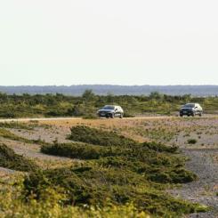 Trafikverket pekar på att ökade medel ska användas för att minska det eftersatta underhållet på Gotlands vägnät fram till 2037. Foto: Trafikverket