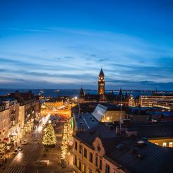 Helsingborgsdeklarationen lyfter hållbarhetsarbetet till ny nivå. Foto: hanseric orre/unsplash
