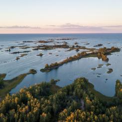 Kvarken. Foto: Hendrik Morkel/Unsplash