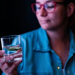 SPA-ämnen, vanliga i plast och förpackningar, hittades i alla blodprov. Foto: eugene-chystiakov/Unsplash