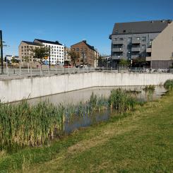 Att bygga ut eller ersätta hela ledningssystem är ekonomiskt ohållbart, menar Salar. Istället behöver vi avlasta dem genom naturbaserade dagvattenanläggningar som efterliknar naturens egna processer för att hantera avrinning. Foto: Salar Haghighatafshar