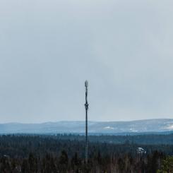 Bolaget är beläget i Jokkmokk, Sverige Foto: ilya shishikhin/unsplash