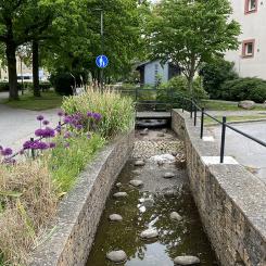 Vattenkanaler i Augustenborg i södra Malmö, ett område känt för klimatanpassning och hållbar stadsutveckling. Foto: IVL