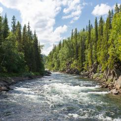 Gäddede, Jämtland Foto: Jon Flobrant/Unsplash