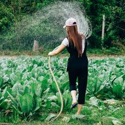 Foto: tony pham/unsplash