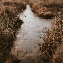 Enligt markägaren fanns möjlighet att dra ledningen längs en bäck som alternativ sträckning. Foto: Annie Spratt/Unsplash