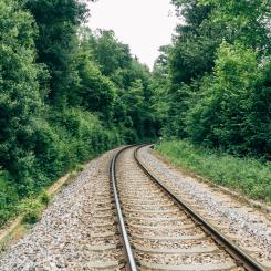 "Det är inte bara en regional fråga – utan en nationell och internationell angelägenhet", säger Pernilla Tornéus, 2: a vice ordförande i Växjö kommunstyrelsen. Foto: markus winkler /unsplash