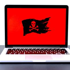 Bumblebee, en sofistikerad typ av malware som använts av flera cyberkriminella grupper, är åter tillbaka efter en period av vinterdvala. Foto: michael geiger/unsplash