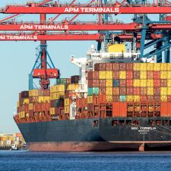 MSC Cornelia Foto: APM Terminals