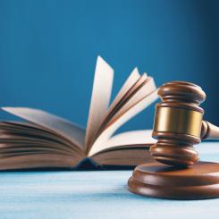 Naturskyddsföreningen har begärt rättsprövning av regeringens beslut att tillåta bygget av motortrafikleden Tvärförbindelse Södertörn i södra Stockholm. Foto: asun bughdaryan