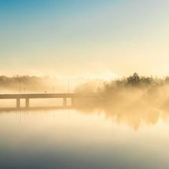 Umeå: Foto: Axel Josefsson/Unsplash