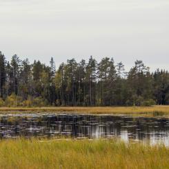 Grössjön. Foto: Axel Josefsson/Unsplash