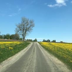 I de nya bestämmelserna införs ökade möjligheter till stöd vid särskilda omständigheter, till exempel vid naturkatastrofer eller trafikomledningar som inte kunnat påverkas av väghållaren. Foto: Magnus Östberg/Unsplash