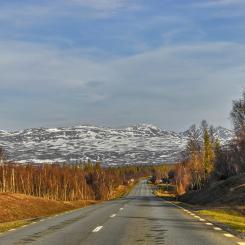 15 km av E4:an i Västerbotten ska breddas och byggas om. Foto: andreas m/unsplash