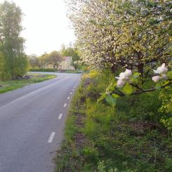 Driftområde, Tingsryd. Foto: Viktor Nilsson