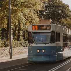 Foto: louise krause/unsplash