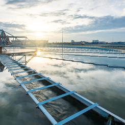 Schneider Electric presenterar en ny generation teknik som ska ge branschen bättre möjligheter att hantera ökade krav på effektivitet, kvalitet och resurshantering. Foto: Schneider Electric